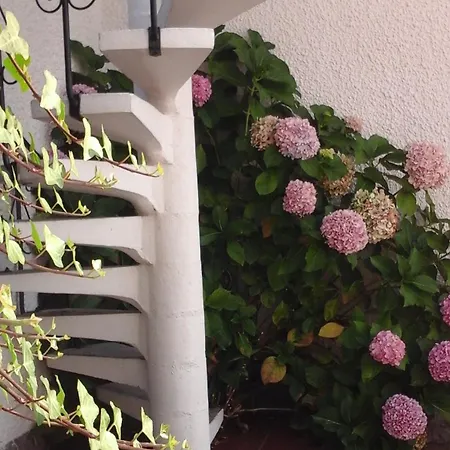 Tatil Evi Estudio Mateus *