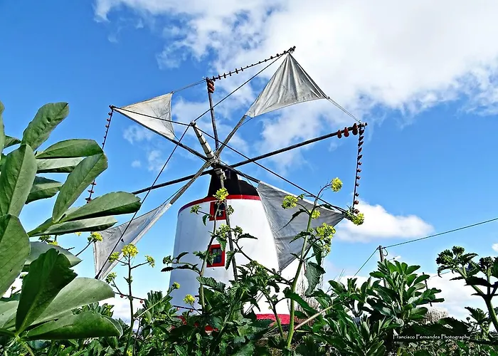 Estudio Mateus * 阿雷亚布兰卡